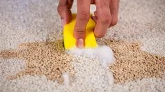 たった10分でカーペットが新品のように:ほこりを叩かず、掃除機も不要な効果的な裏技