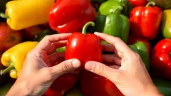 赤・黄・緑のピーマン、どれが一番体にいい？専門家が結論を出した